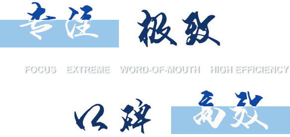 专注极致口碑高效